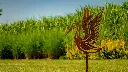 JARDIN. PART 2 By gogor-9.webp
