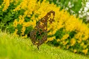 JARDIN PART 1 BY GOGOR-54.webp