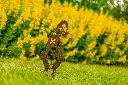 JARDIN PART 1 BY GOGOR-53.webp