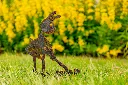 JARDIN PART 1 BY GOGOR-71.webp