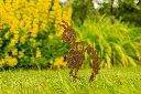 JARDIN PART 1 BY GOGOR-79.webp