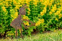 JARDIN PART 1 BY GOGOR-82.webp