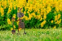 JARDIN PART 1 BY GOGOR-86.webp