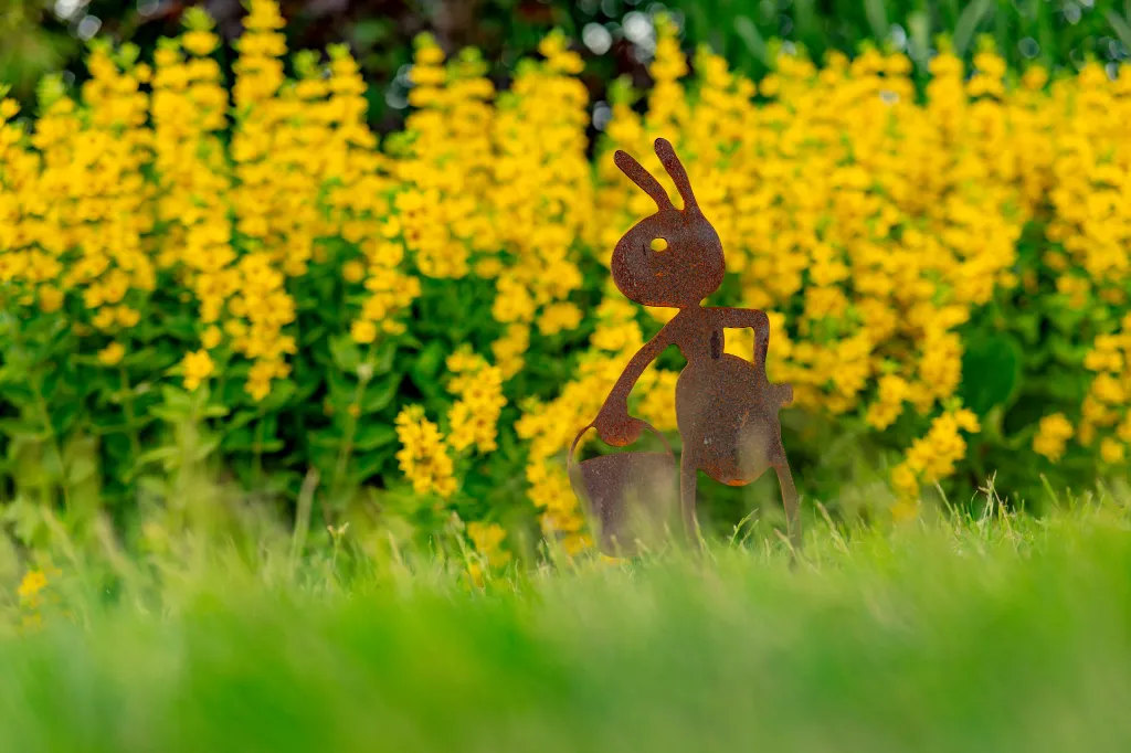JARDIN PART 1 BY GOGOR-94.webp