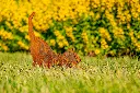 JARDIN PART 1 BY GOGOR-112.webp