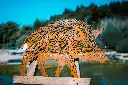 L'INSTANT CORTEN BY GOGOR-259.webp