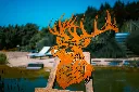 L'INSTANT CORTEN BY GOGOR-233.webp