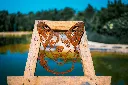 SCULPTURE PART 2 By gogor-22.webp