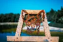 SCULPTURE PART 2 By gogor-41.webp