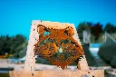SCULPTURE PART 2 By gogor-52.webp