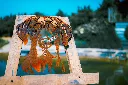 SCULPTURE PART 2 By gogor-59.webp