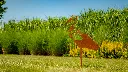 JARDIN. PART 2 By gogor-15.webp