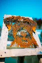 SCULPTURE PART 2 By gogor-125.webp