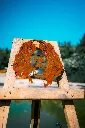 SCULPTURE PART 2 By gogor-152.webp