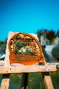 SCULPTURE PART 2 By gogor-157.webp