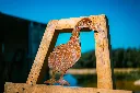 SCULPTURE PART 2 By gogor-162.webp