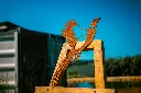SCULPTURE PART 2 By gogor-210.webp