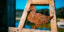 SCULPTURE PART 2 By gogor-215.webp