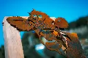 SCULPTURE PART 2 By gogor-228.webp