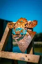 SCULPTURE PART 2 By gogor-225.webp