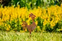 JARDIN. PART 2 By gogor-40.webp