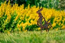 JARDIN. PART 2 By gogor-45.webp