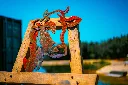 SCULPTURE PART 2 By gogor-346.webp