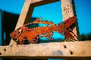SCULPTURE PART 2 By gogor-350.webp