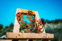 SCULPTURE PART 2 By gogor-357.webp