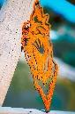 SCULPTURE PART 2 By gogor-363.webp