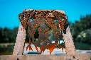 SCULPTURE PART 2 By gogor-386.webp