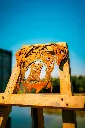 SCULPTURE PART 2 By gogor-381.webp