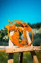 SCULPTURE PART 2 By gogor-421.webp