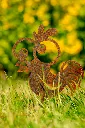 JARDIN. PART 2 By gogor-46.webp