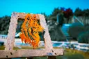 SCULPTURE PART 2 By gogor-467.webp