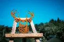 L'INSTANT CORTEN BY GOGOR-184.webp