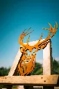 L'INSTANT CORTEN BY GOGOR-182.webp