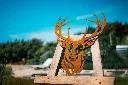 L'INSTANT CORTEN BY GOGOR-180.webp