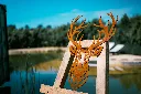 L'INSTANT CORTEN BY GOGOR-173.webp