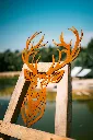 L'INSTANT CORTEN BY GOGOR-177.webp