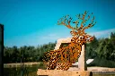 L'INSTANT CORTEN BY GOGOR-167.webp