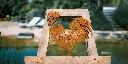 L'INSTANT CORTEN BY GOGOR-153.webp