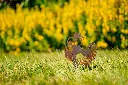 JARDIN. PART 2 By gogor-60.webp