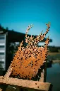 L'INSTANT CORTEN BY GOGOR-115.webp