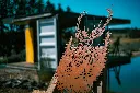 L'INSTANT CORTEN BY GOGOR-116.webp
