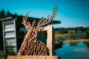 L'INSTANT CORTEN BY GOGOR-108.webp