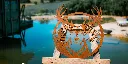 L'INSTANT CORTEN BY GOGOR-92.webp