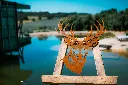 L'INSTANT CORTEN BY GOGOR-70.webp