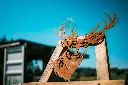 L'INSTANT CORTEN BY GOGOR-75.webp