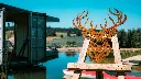 L'INSTANT CORTEN BY GOGOR-42.webp